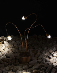 I-Snap di Antonangeli