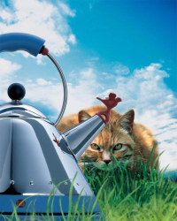 Bollitore 9093 di Alessi