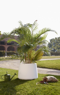 Tubby di Magis, design Marc Newson