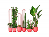 Cacti planter di Nola, design Anki Kneib