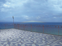 Collezione IGattipardi by 14 ora italiana