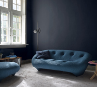 ploum_ligne_roset_63831