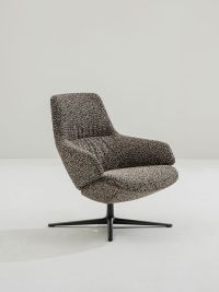 Aston Club by Arper, design Jean Marie Massaud