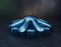 Aster Papposus - Edra