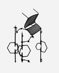 Living Divani, poltroncina Frog