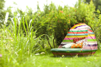 Divano Tropicalia, Patricia Urquiola, Moroso, 2008