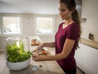 Kitchengarden Basic by Fiskars Lab