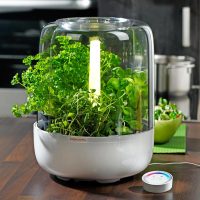 Kitchengarden Basic by Fiskars Lab
