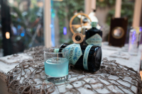 Neptunia Gin by Hendrik’s