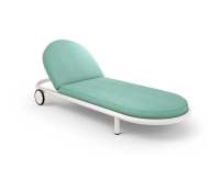 cassina