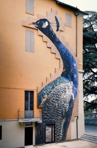 marazzi e joan fontcuberta