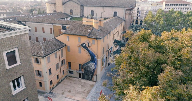 marazzi e joan fontcuberta