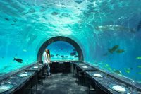 Restaurant H2O