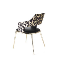 roberto-cavalli-home