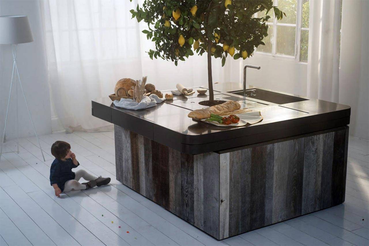 cucine professionale per casa