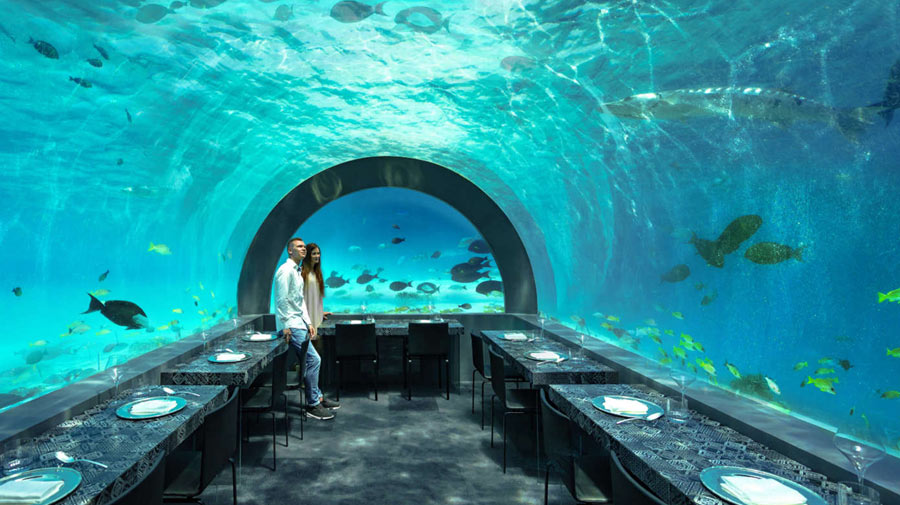 Restaurant H2O: dine underwater in the Maldives