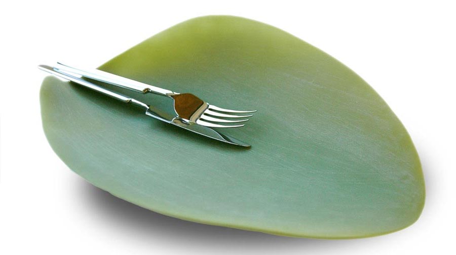 Seasons by Covo, the serving plates as light as leaves