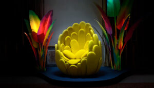 humberto e fernando campana