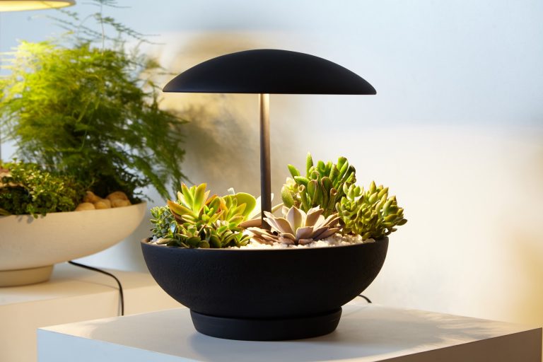 Geo Luz & Ceramica - Garden 10 idee di design legate alla natura