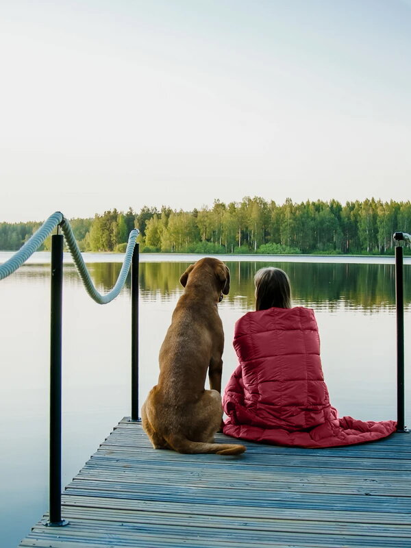 kulkuri-burgundi imbottite joutsen